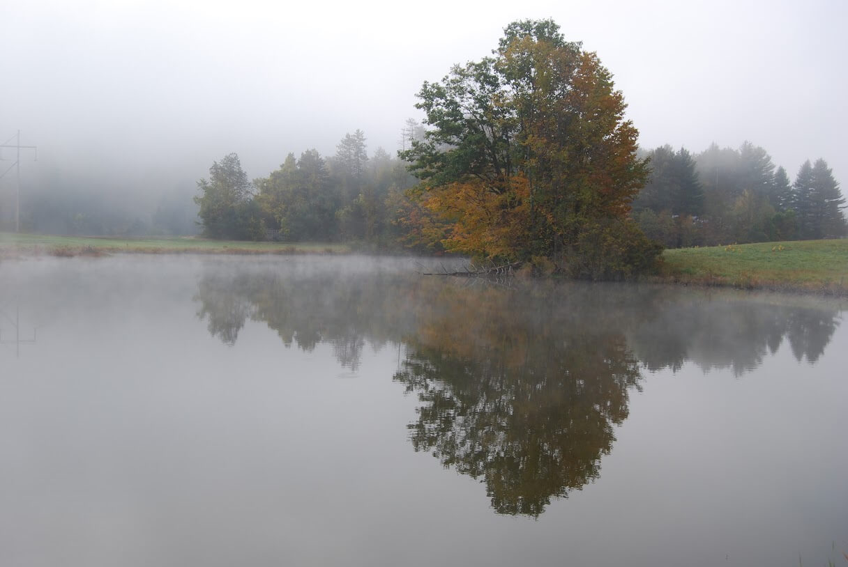 Pond in Mist 2 - hero img img | Vermont Art Poetry 